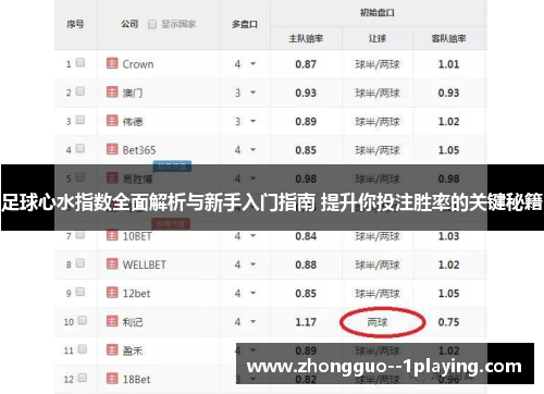 足球心水指数全面解析与新手入门指南 提升你投注胜率的关键秘籍 足球心水指数全面解析与新手入门指南 提升你投注胜率的关键秘籍
