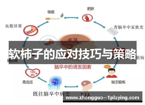 软柿子的应对技巧与策略 软柿子的应对技巧与策略
